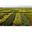 Diversifying Crop Rotation Improves Agroecosystem Robustness – Agronomy 