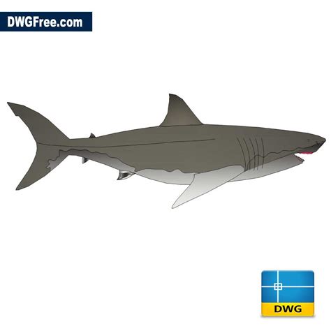 Shark Dwg Drawing 2021 In Autocad Free 2d Dwgfree
