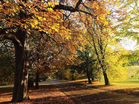 The 19 Best Spots For Autumn Colors In London Updated For 2023