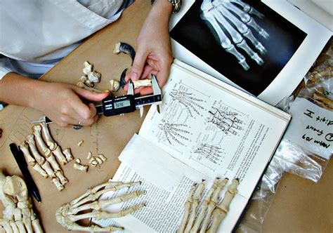 The Branches Of Forensic Science