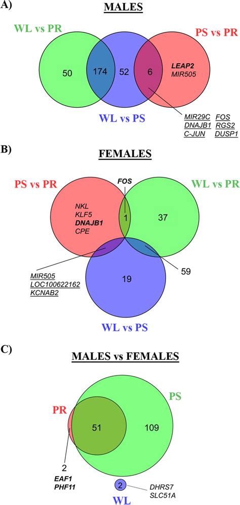venn diagrams of time and parisons between males and females download scientific diagram