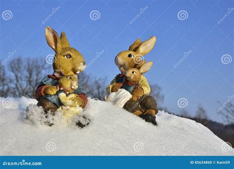 Easter In The Snow Stock Photo Image Of Rabbit Custom 85634860