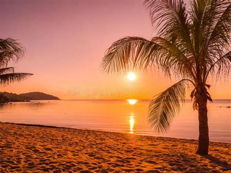 Beautiful Tropical Beach Sea And Ocean With Coconut Palm Tree At Stock