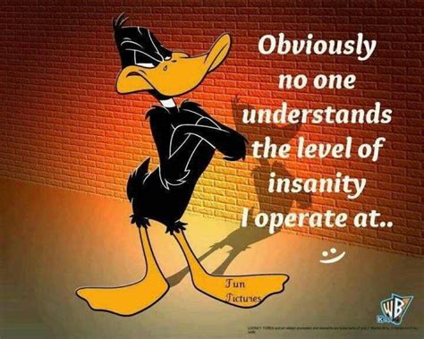 Insanity Looney Tunes Funny Cartoon Jokes Daffy Duck