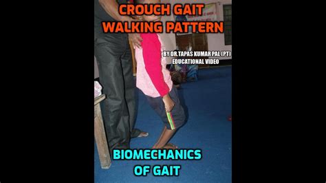 Crouch Gait Walking Pattern Cerebral Palsy Gait Biomechanics Of Gait