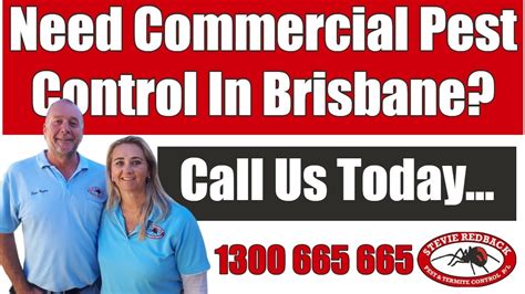 Maybe you would like to learn more about one of these? Commercial Pest Control Brisbane | Pest Control Quote |Pest Control Near Me| Stevie Redback Pest ...