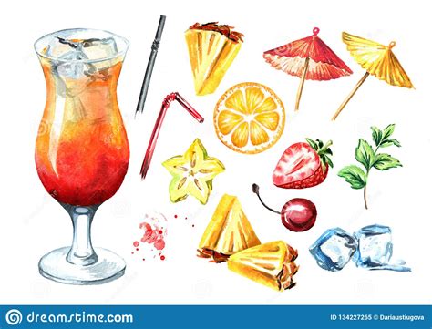 Sex On The Beach Cocktail With Decorative Elements Set Free Download