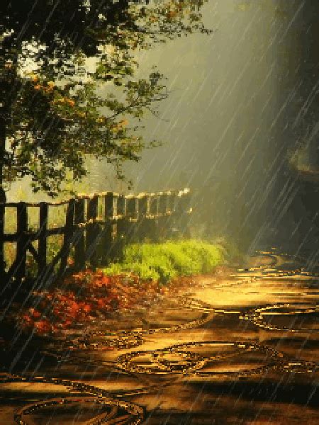 An Image Of A Path In The Rain