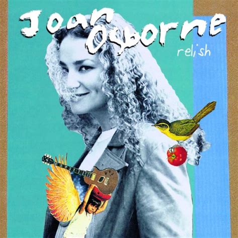 mizeal s review of joan osborne relish album of the year