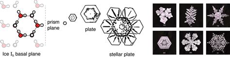 Snowflakes Have Sixfold Symmetries Because Of The Elementary Hexagonal