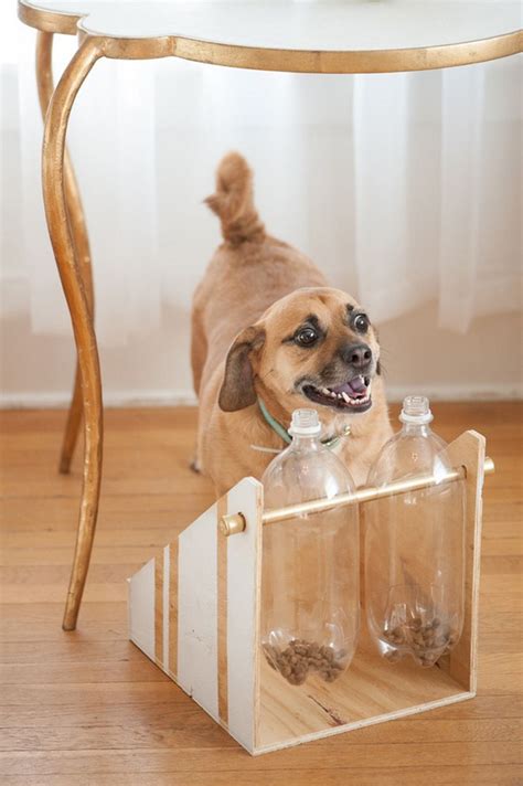 How To Make A Fascinating Spin Out Dog Treat Game The Owner Builder
