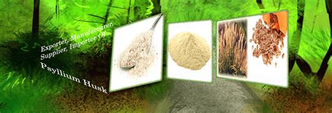 Psyllium Exports, Certified Seeds Suppliers, Hybrid & Research Seeds Suppliers, Spices Exporters ...
