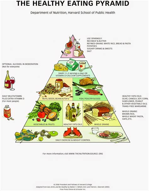 Eating Healthy Food Pyramid Healthy Life Style
