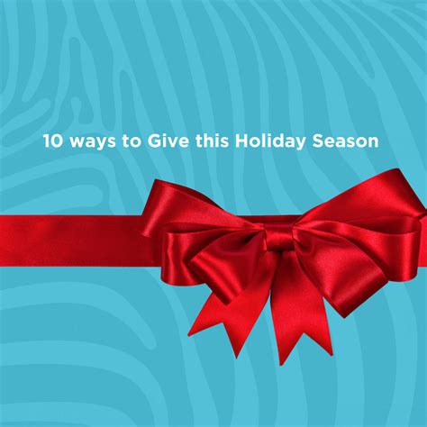 10 Ways To Give This Holiday Season — Zebra Centre