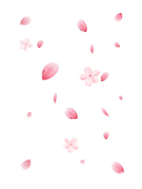 花瓣粉色素材png