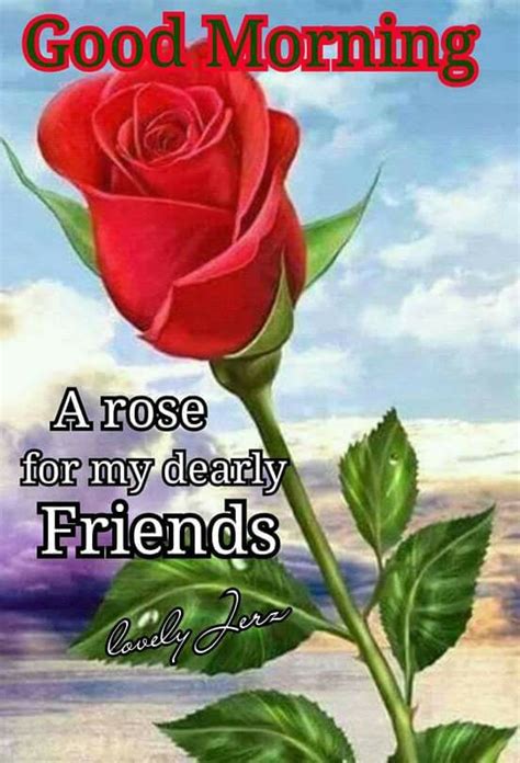 A Rose For My Dearly Friends Good Morning Pictures Photos And Images
