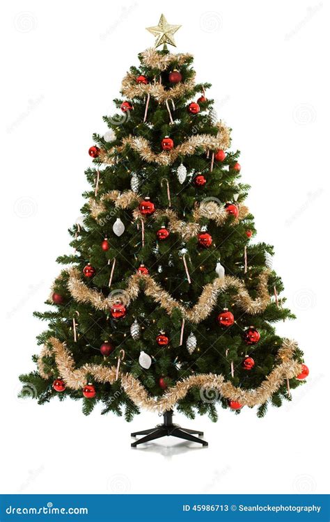 Set Up The Christmas Tree Christmas Recipes 2021