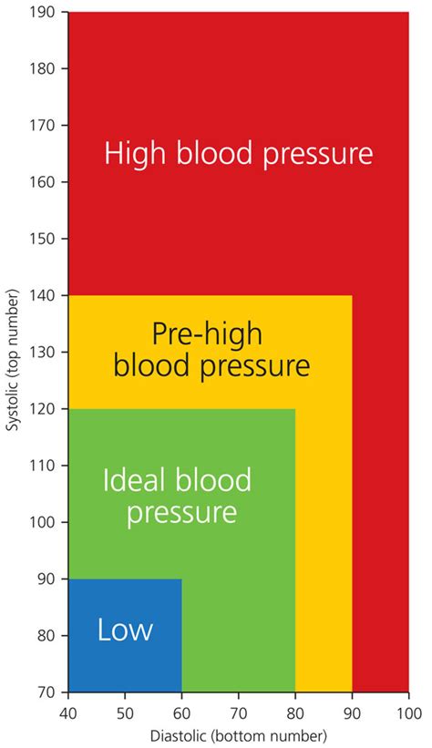What Do My Numbers Mean Blood Pressure Readings Explained Viva The