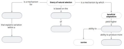Theory Of Natural Selection Concept Map Diagram Quizlet