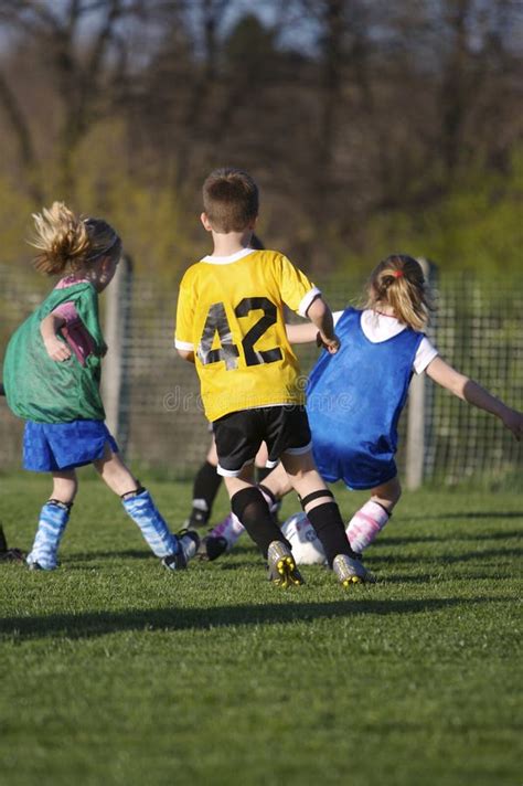 Youth Soccer Game Stock Photo Image Of Goal Game Recreational 697514