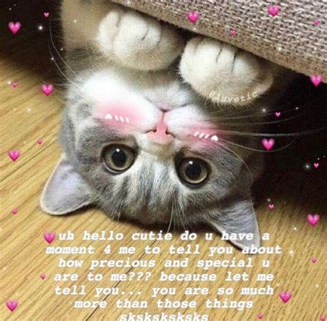 Cute Cat Memes Cute Love Memes Flirty Memes Flirty Quotes Gf Memes