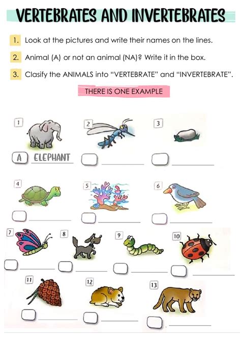 The kids separated things into invertebrate and vertebrate cards. Vertebrates and Invertebrates - Interactive worksheet