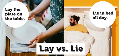 Difference Between Lay Vs Lie