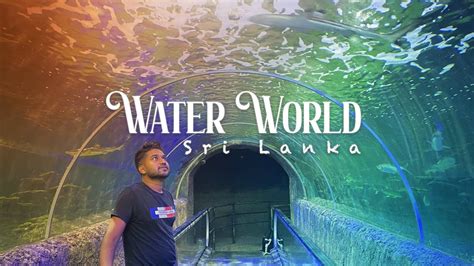 Water World Aquarium Kelaniya Sri Lanka 🇱🇰 Youtube