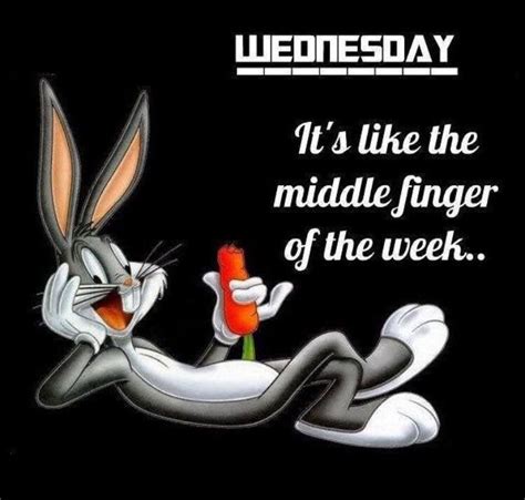 Wednesday Is Funny Wednesday Memes Happy Wednesday Quotes Good