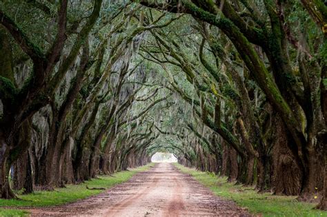 The Perfect Usa Deep South Road Trip Itinerary Finding The Universe
