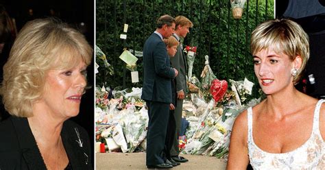 Camilla Was A Great Comfort To Prince Charles After Princess Diana Tragically Died