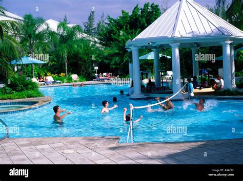 Swimming Pool Hilton Hotel Grand Cayman Cayman Islands Stock Photo Alamy