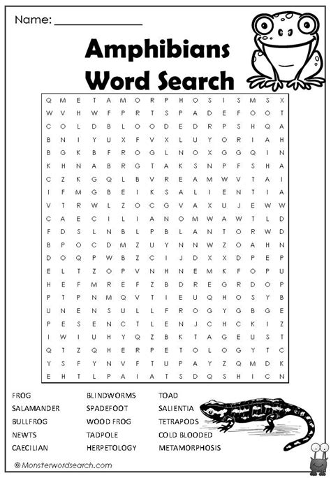 Cool Amphibians Word Search Amphibians Worksheets For