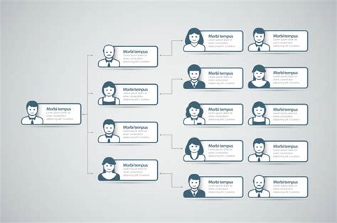 780 Ceo Organizational Chart Stock Photos Pictures And Royalty Free