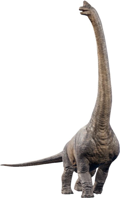 Brachiosaurus Artofit