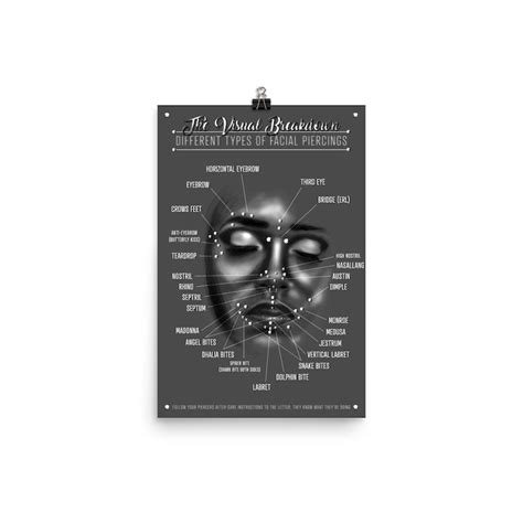 Facial Piercing Infographic Chart Black And Grey Poster Etsy