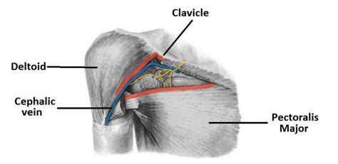 Pin En Fisioterapia