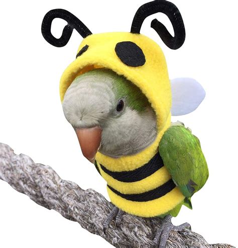 Funny Bee Shaped Birds Clothes Flying Suit Parrots Costume Cosplay