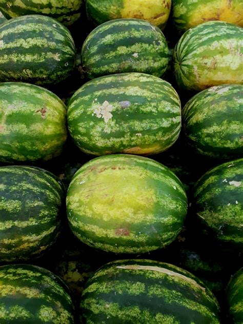 Watermelons · Free Stock Photo
