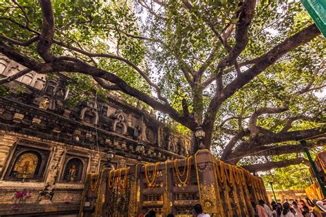 Bihars Mahabodhi Temple In Bodhgaya And How To Visit It