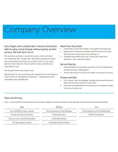 FREE 11+ Company Overview Templates in PDF | MS Word | Free & Premium ...