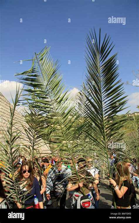 Israel Jerusalem Palm Sunday Procession Stock Photo Alamy