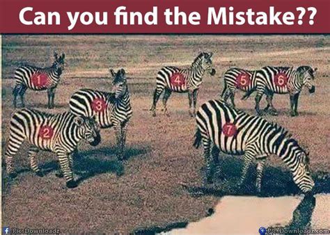 Can You Find The Mistake In This Striped Animals Picture Brain