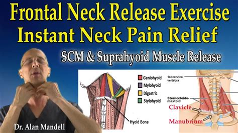 Anterior Neck Release Stretch Scm Suprahyoid Muscles For Instant