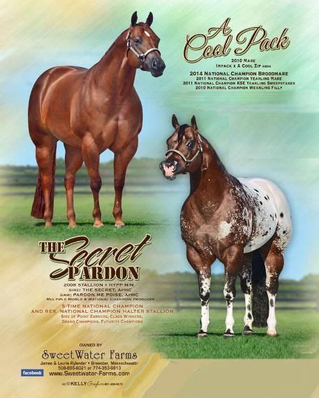 Foals Sired X The Secret Pardon Hypp N N 5 X National Champion Artofit