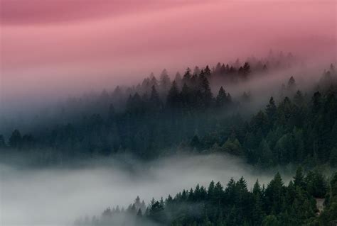 Nature Cloud Sunset Forest Landscape Fog Field Ultrahd 4k Wallpaper Images