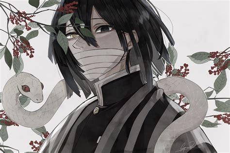 Demon Slayer: Kimetsu No Yaiba 4K, Obanai Iguro, HD Wallpaper | Rare