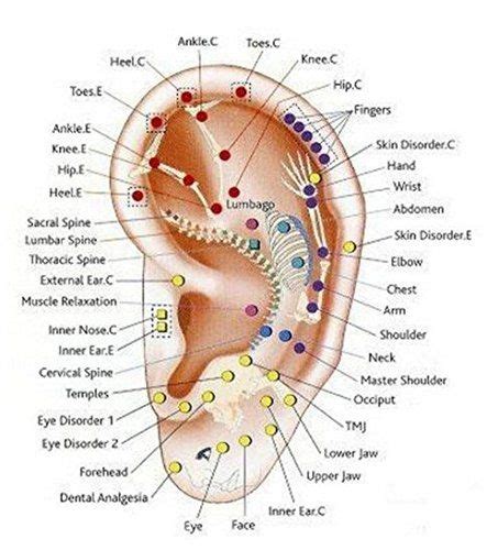Ear Massage Bead Auricular Acupuncture Point Massage