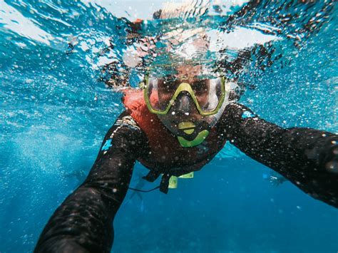 Take Siesta Key Snorkeling Adventure On Your Next Vacation