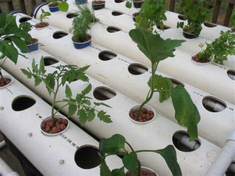 16 Easy Diy Hydroponic Plans You Can Build In Your Garden This Weekend
